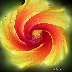 Meet your Posher, Catherine